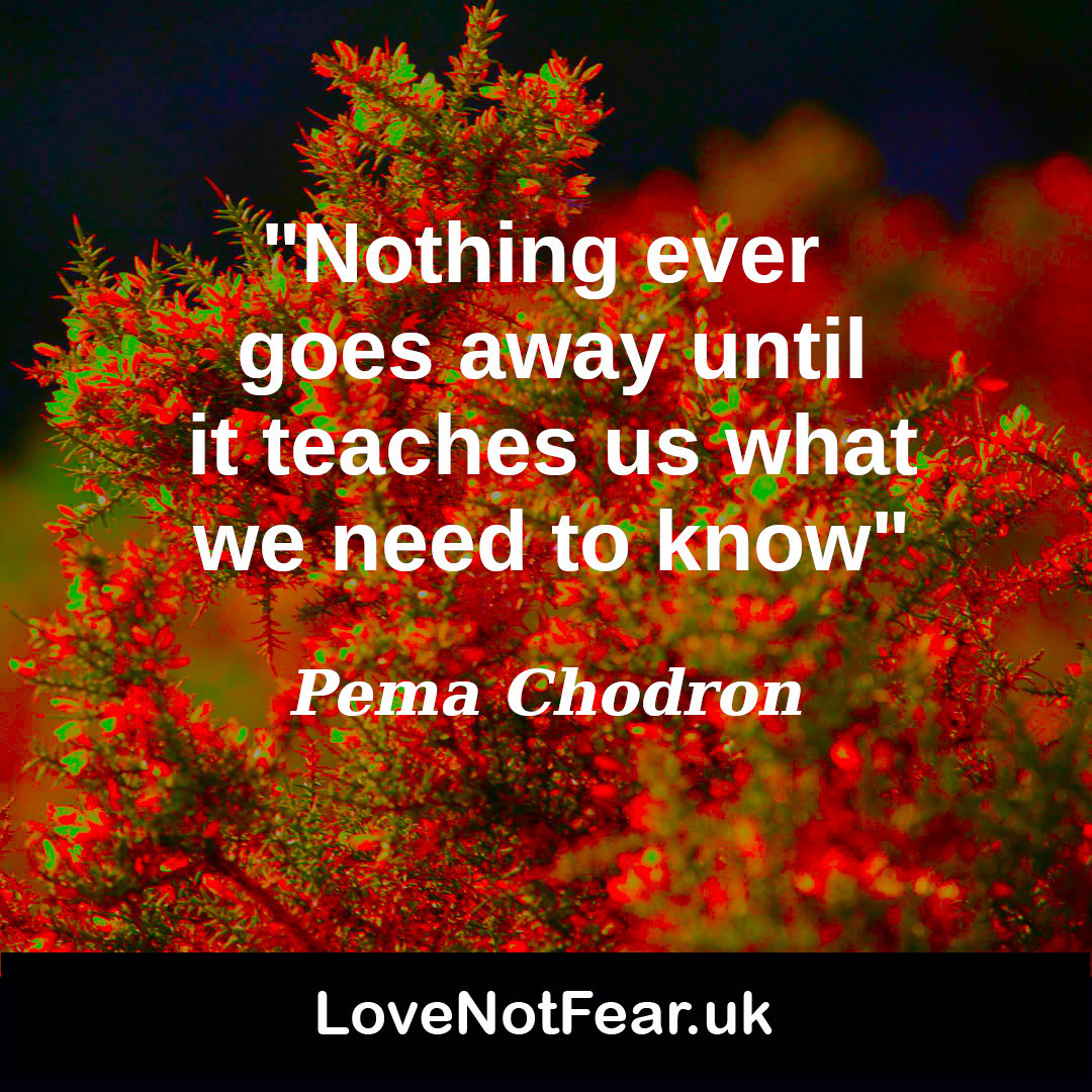 Inspirational Pema Chodron quotes