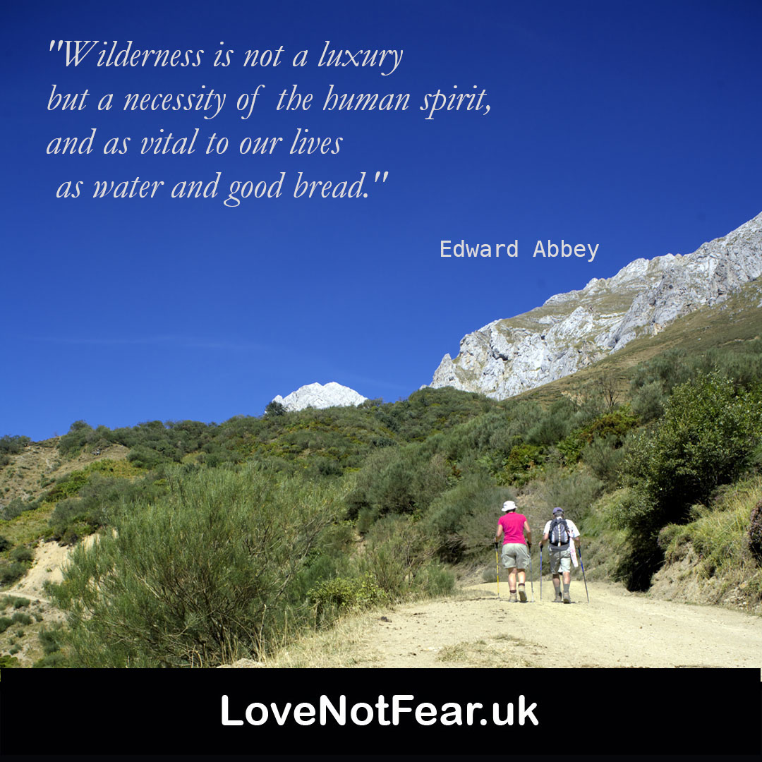 Inspirational Edward Abbey quotes