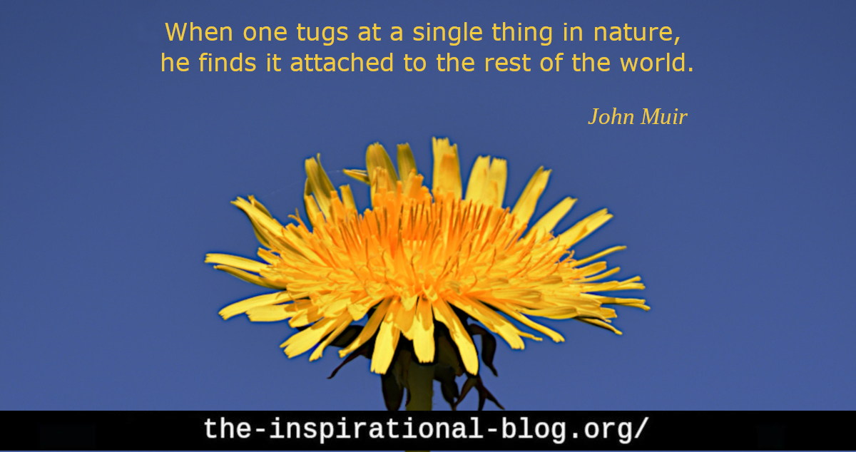 Inspirational John Muir quotes